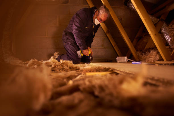  Sturgeon, MO Insulation Contractor Pros